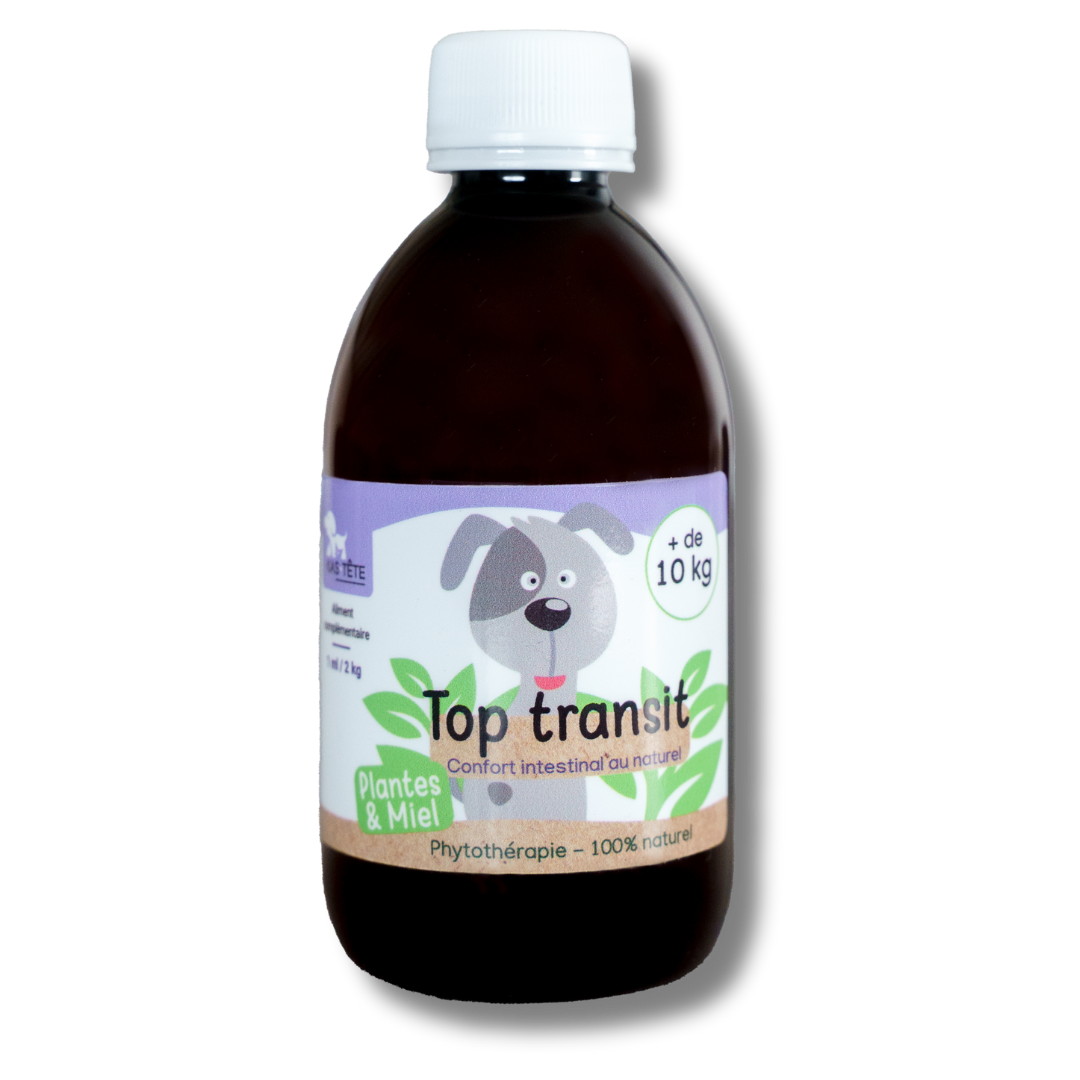 Top Transit Natural Syrup 300mL Dogs + 10KG