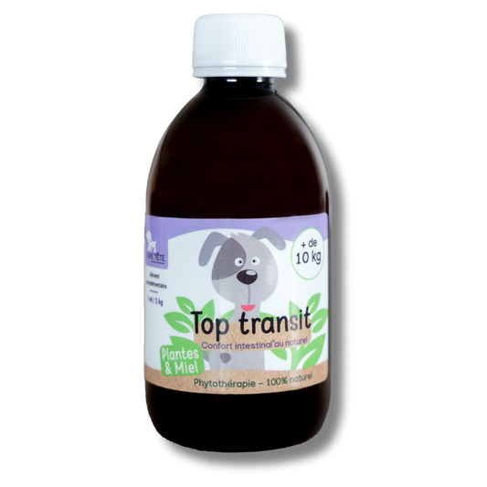Top Transit Natural Syrup 300mL Dogs + 10KG