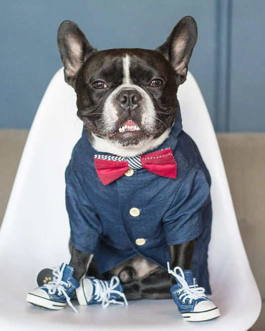 Summer Printed Cotton Clothes for Small Dogs
