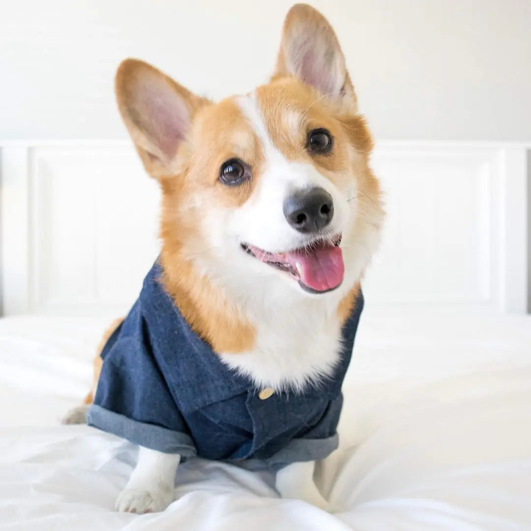 Summer Printed Cotton Clothes for Small Dogs