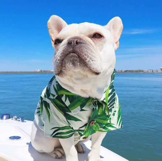 Summer Printed Cotton Clothes for Small Dogs