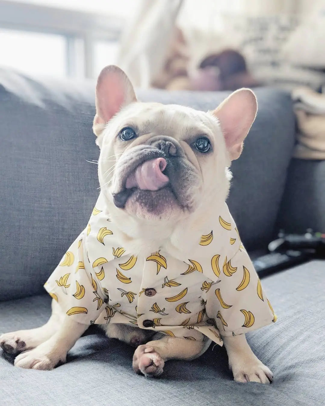 Summer Printed Cotton Clothes for Small Dogs